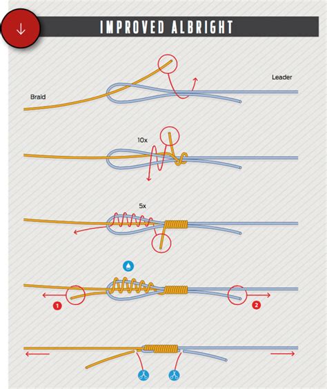 Animation shows how to tie the Snell Knot for Fishing from the world's #1 knot site - Animated Knots by Grog.IPHONE APP: http://bit.ly/SeY9S7 | ANDROID APP: ...